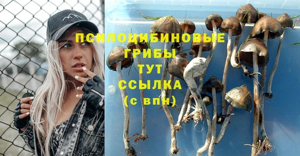 стаф Михайловка
