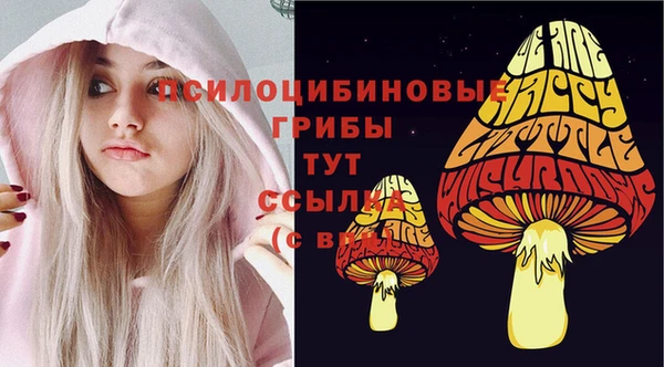 сатива Наволоки
