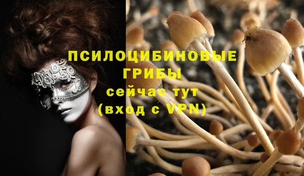 таблы Михайлов