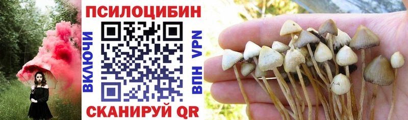 Купить закладки  Морозовск  Галлюциногенные грибы Cubensis 